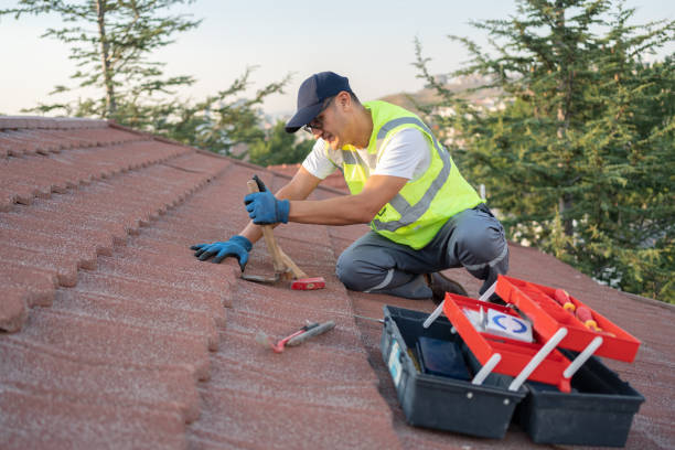 Best Sealant for Roof  in August, CA